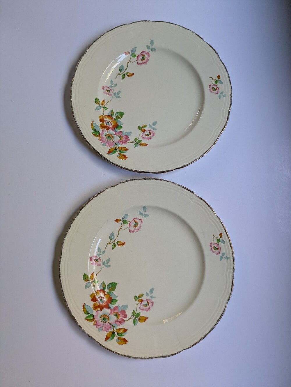 2 Vintage Alfred Meakin Art Deco Dinner Plates Floral Spray 9 3/4" Cottagecore